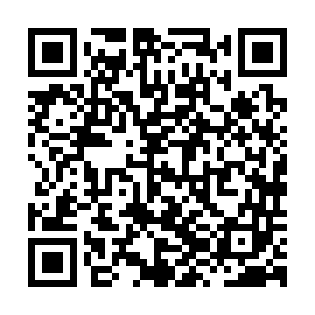 QR code for XZH343