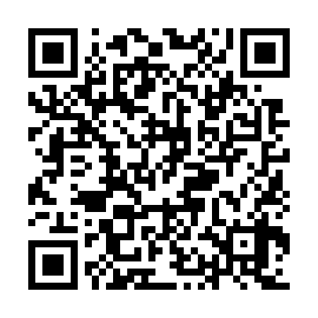 QR code for YAN738