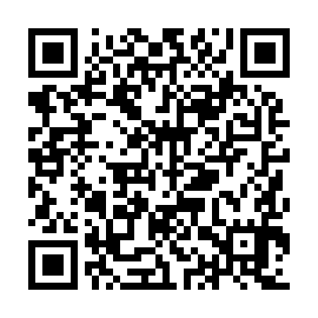 QR code for YAP995