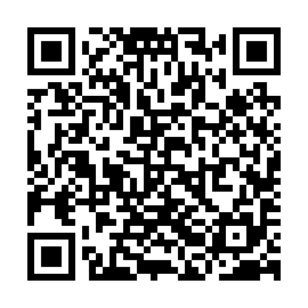 QR code for YBF295