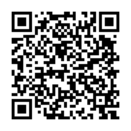 QR code for YBI491