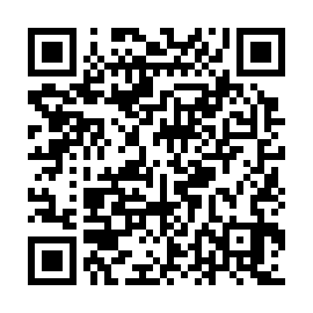 QR code for YDN333