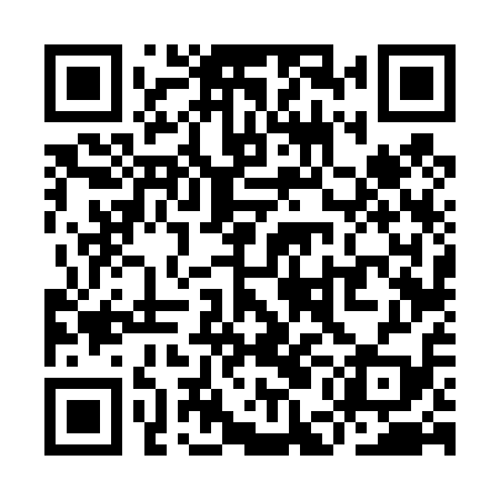 QR code for YEF419