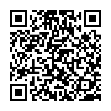 QR code for YEM389