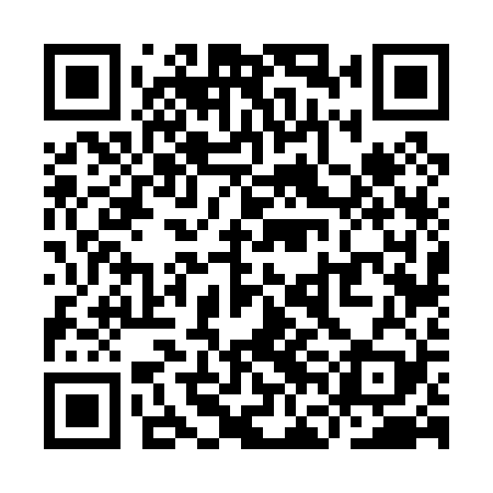 QR code for YFF029