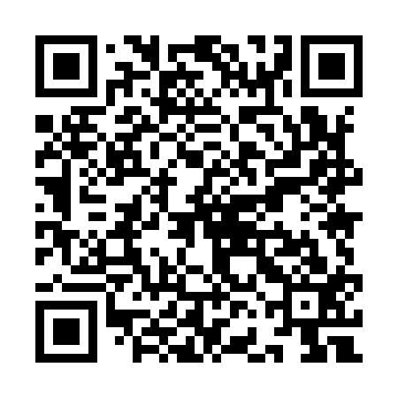 QR code for YFM913