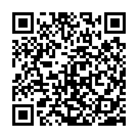QR code for YFQ738