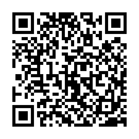 QR code for YFR533