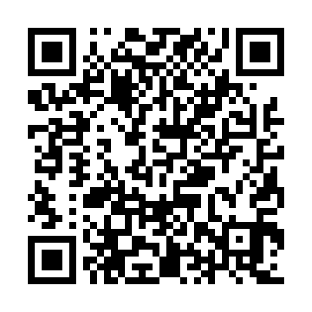 QR code for YHS411