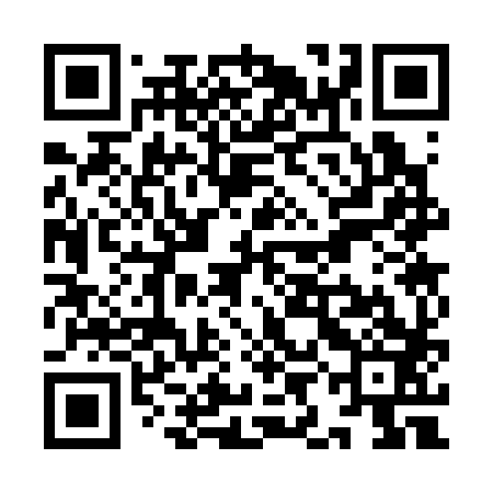 QR code for YIC383