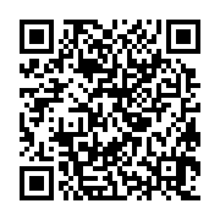 QR code for YIG384