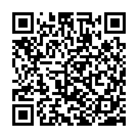 QR code for YII370