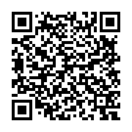QR code for YIR873