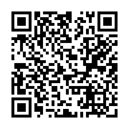 QR code for YJQ309