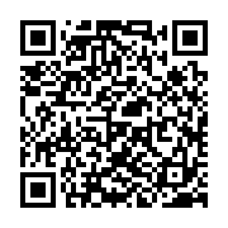 QR code for YLB333