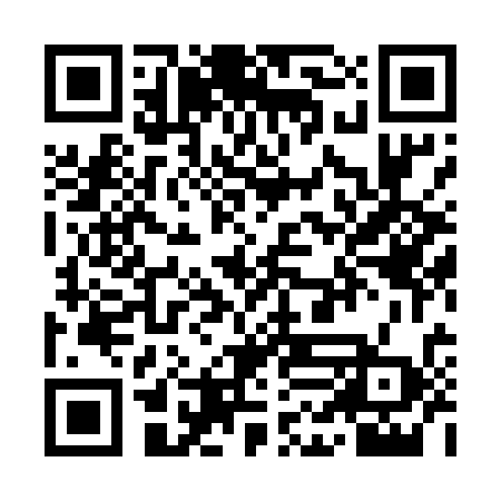 QR code for YLL538