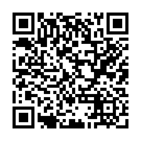 QR code for YLN339