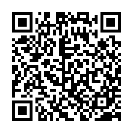 QR code for YNE387