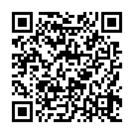 QR code for YNH738