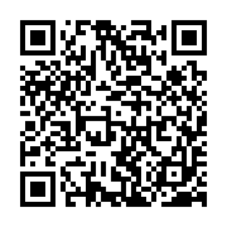 QR code for YOW393