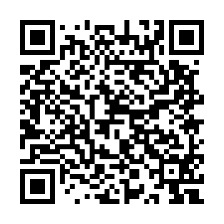 QR code for YPA594