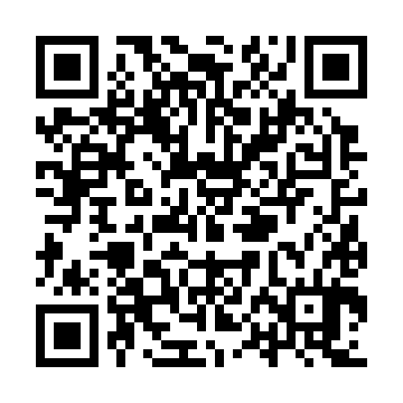 QR code for YPF384