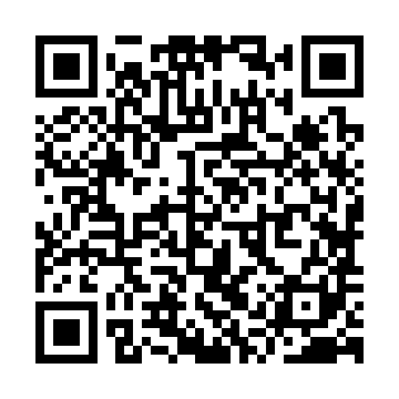 QR code for YQZ381