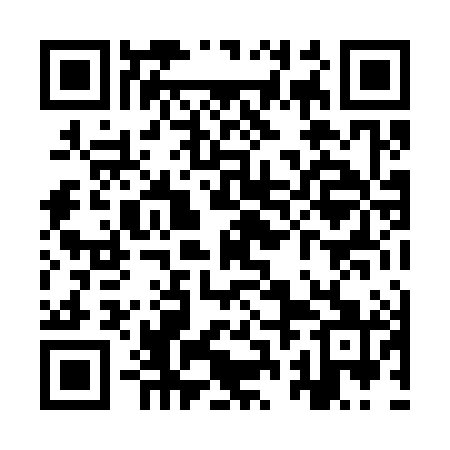 QR code for YRL381