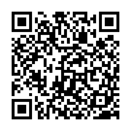 QR code for YVY541