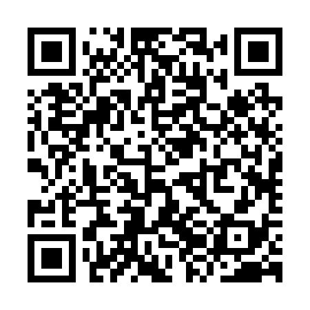 QR code for YZB238