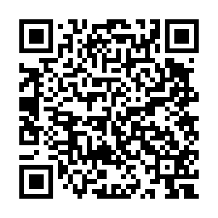 QR code for YZB413