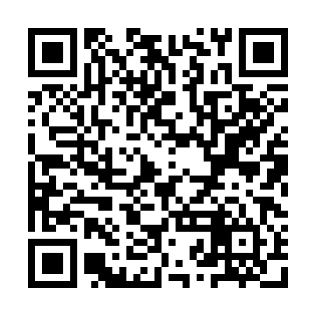 QR code for YZH384