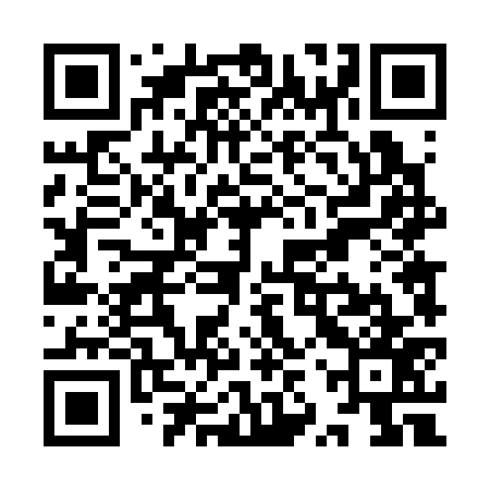 QR code for YZT377