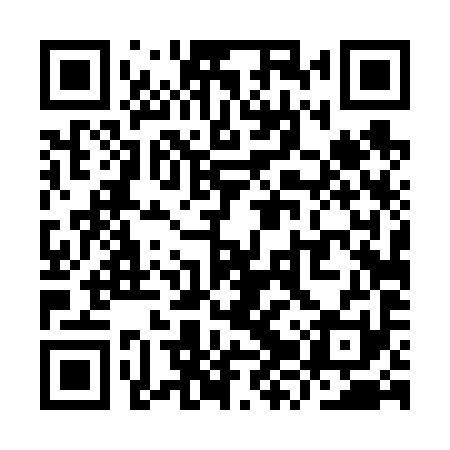 QR code for YZT691