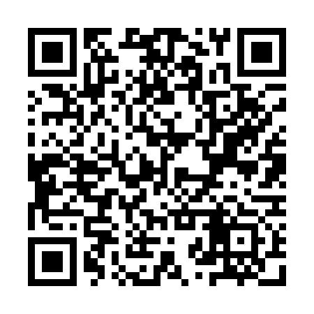 QR code for YZV173