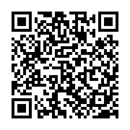 QR code for YZV251