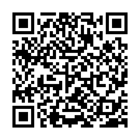 QR code for ZAN339