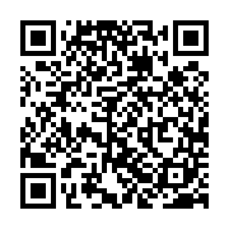 QR code for ZBD541
