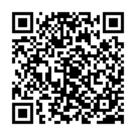 QR code for ZBF307