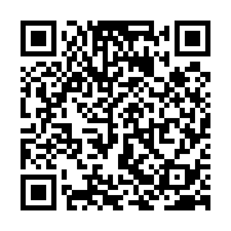 QR code for ZBW539