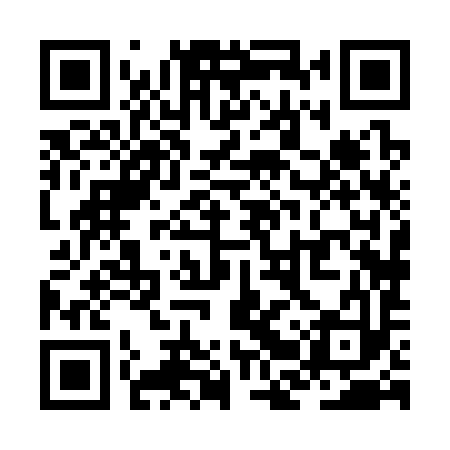 QR code for ZBX393