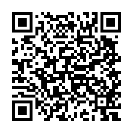 QR code for ZCG489