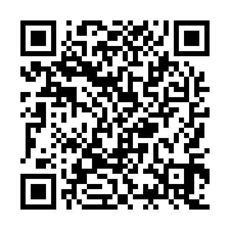 QR code for ZCH111
