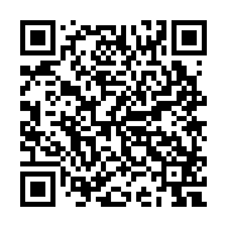 QR code for ZCK383