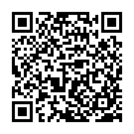 QR code for ZCK384