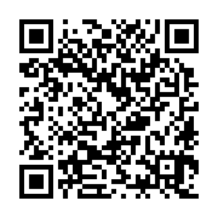 QR code for ZCO385