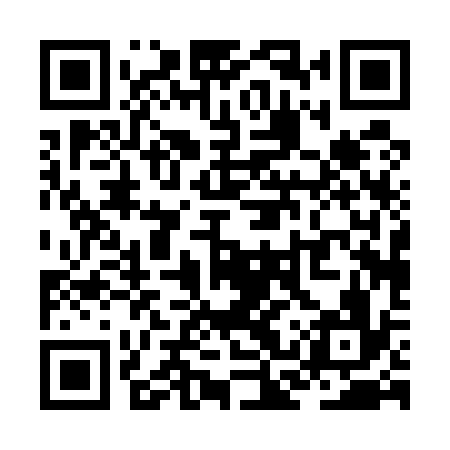 QR code for ZCP536
