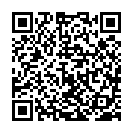 QR code for ZCX599