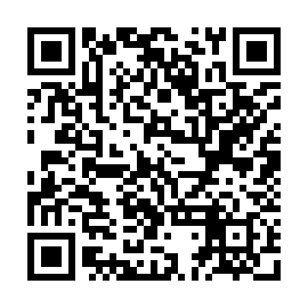 QR code for ZDC938