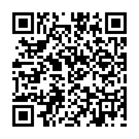 QR code for ZDD337